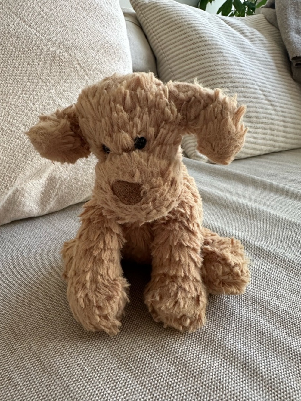 Jellycat Fuddlewuddle Small Puppy 8 inch